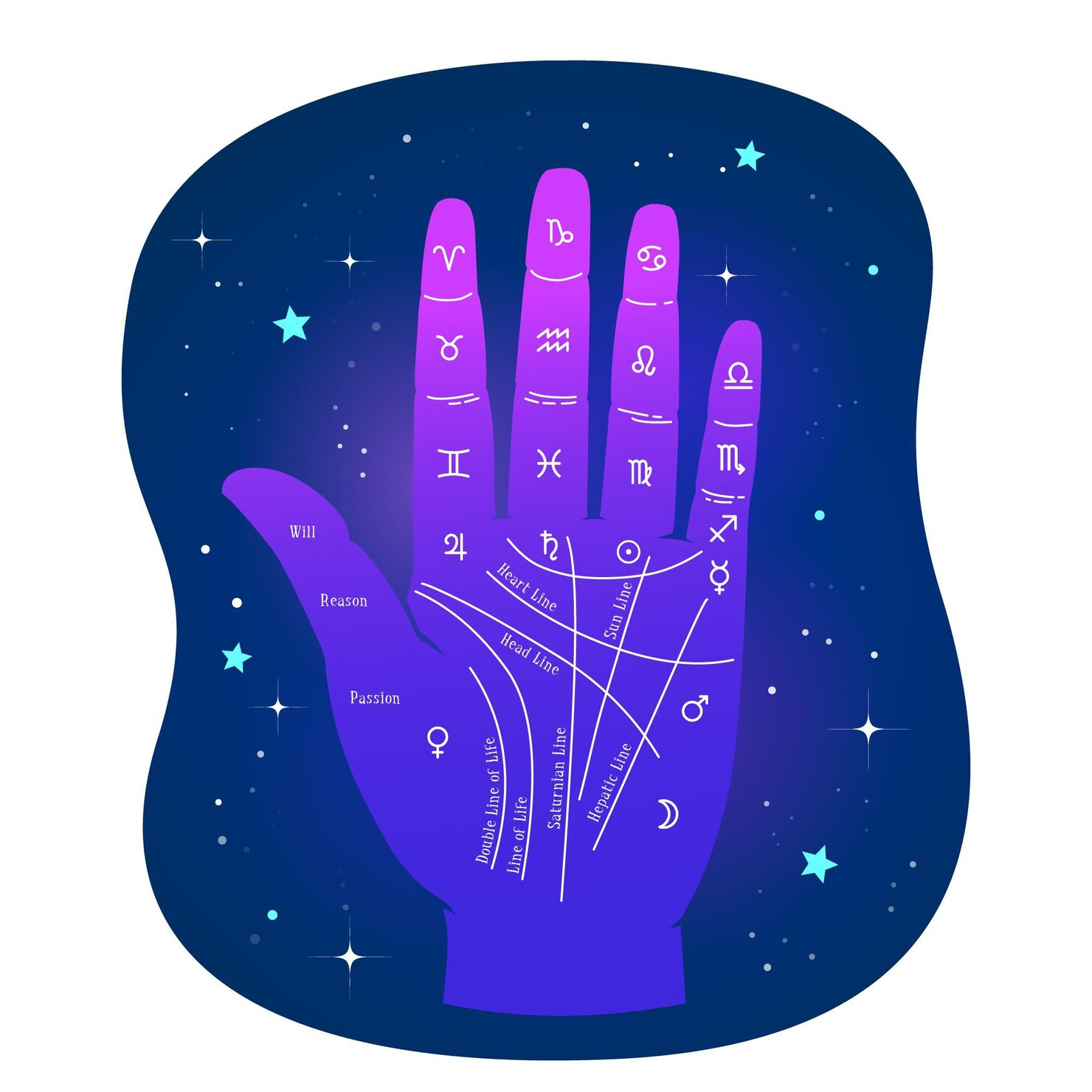 Astrology App Development Company