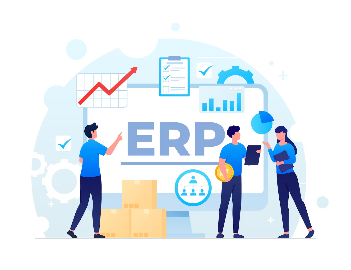 ERP Software Development Company